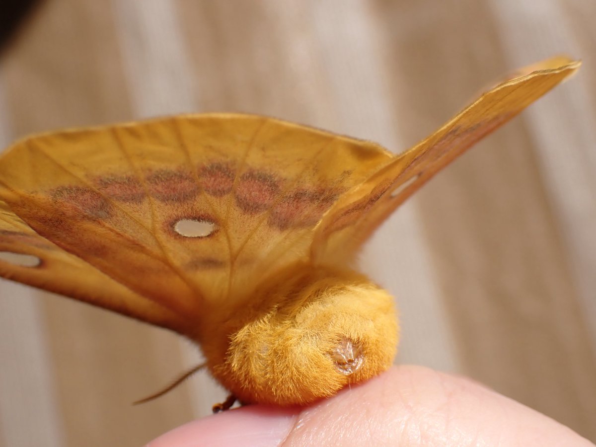 まさやん (@masayan59896607) / Posts / X