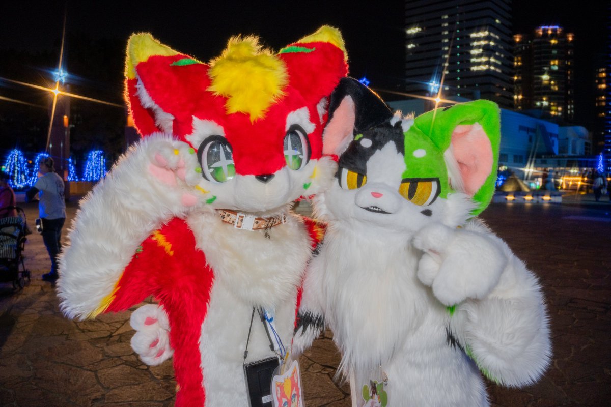 とらとくん🐯🐶
と
ゆいはくん🐈🌱
#KemonoSpaceFukuoka
#KSF4th