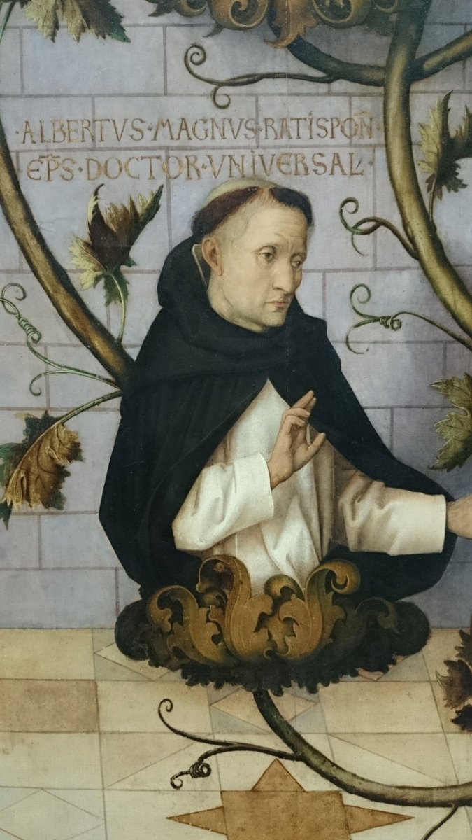 Catholic_Colin_'s tweet image. Today, November 15th, is the Feast Day of Saint Albertus Magnus (♱1280), or Albert the Great, Bishop, Confessor and Doctor of the Church, of whom Pope Pius XI remarked that “neither in philosophy nor in theology nor in the interpretation of the Scriptures has there been almost…