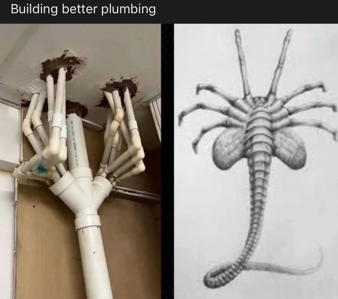 MandieMortem (@mmortemm) on Twitter photo 