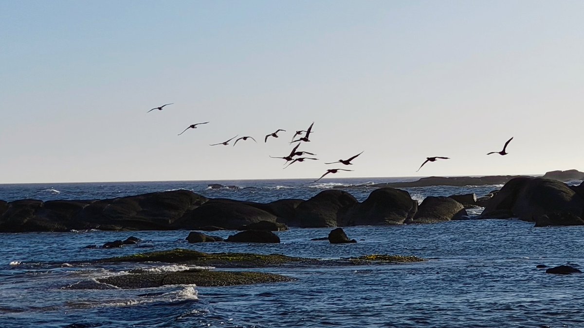 Gastón (@gaston_etchart) on Twitter photo 