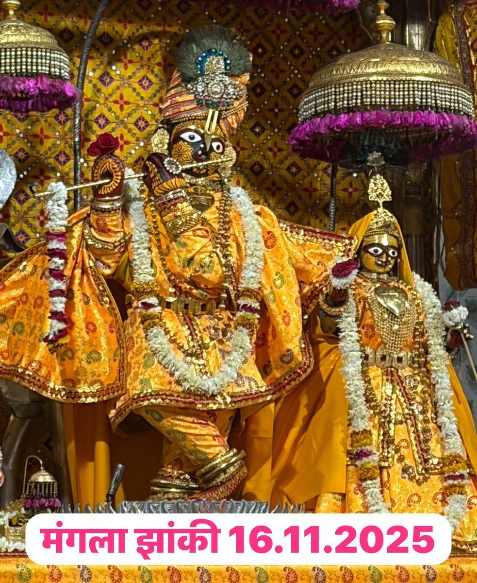 KrishnaG_Sharma's tweet image. जय श्री राधा गोविन्द! 🕉️ 🙏
मंगला झांकी 🪔✨
मंदिर श्री गोविन्ददेवजी, जयपुर 🛕 
रविवार, 16 नवंबर 2025
मार्गशीर्ष कृष्ण द्वादशी, वि. सं. 2082
Shri Govind Dev ji, Jaipur 
Sunday, November 16, 2025
#जयश्रीराधागोविन्द #GovindDevJi #Jaipur #ManglaJhanki #RadhaKrishna #Bhakti…