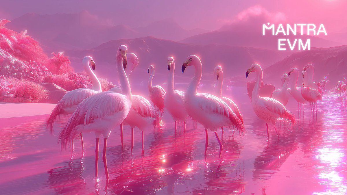 Migração rosa. $OM está voltando para casa.

🗓️ Prazo? 15 de janeiro de 2026.