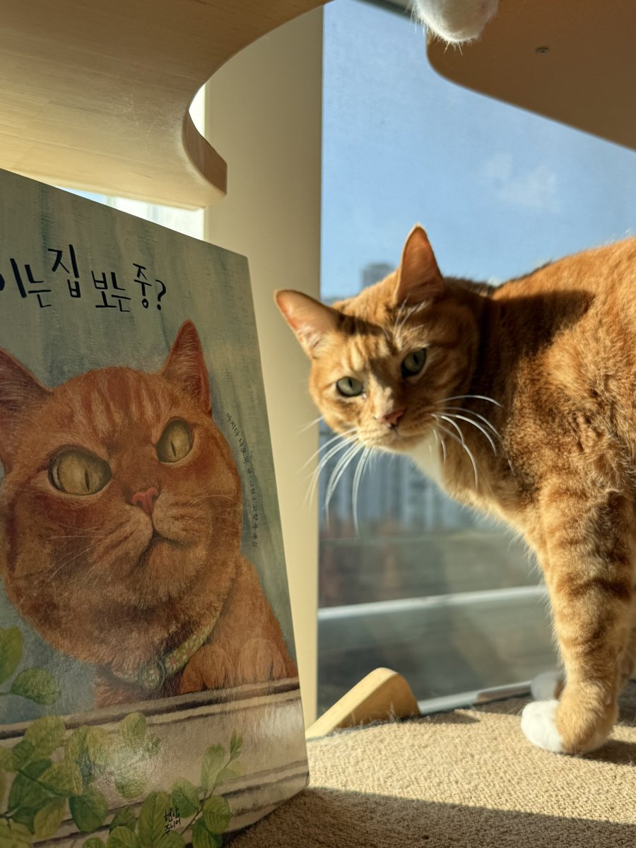 with_mgrk's tweet image. 랑이 책 읽어 달라는 아기