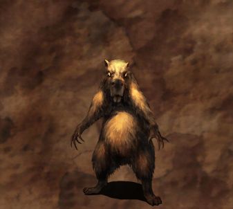 カピバラページ Post by ウィズの輔 on X: カピバラ😊