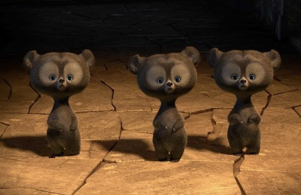 They’re literally the bear triplets from Brave 🦝🦝🦝