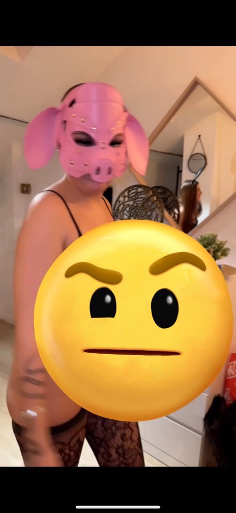 bbto video tweet media