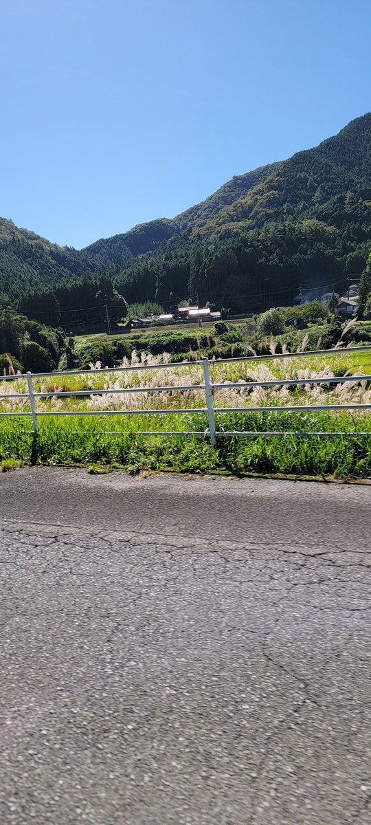 心のリフレッシュ実行中🌞　車降りる時は熊🐻さんには注意！
