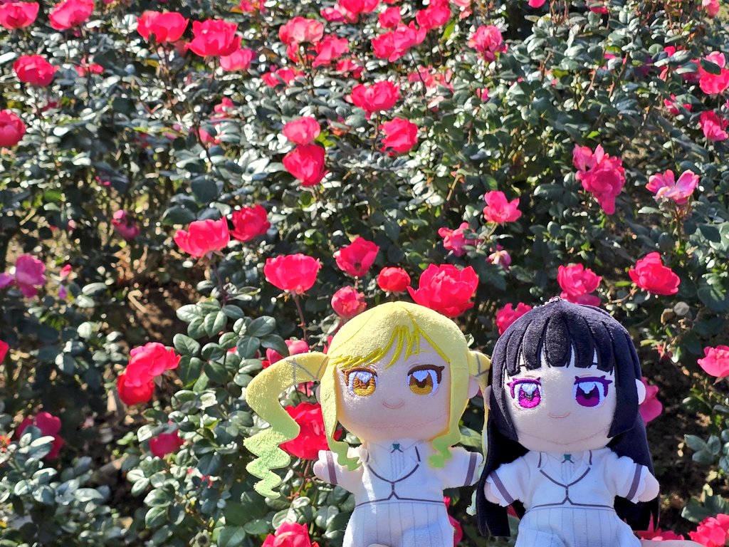 きなこ🐹💎 (@nyanyakuso) / Posts / X