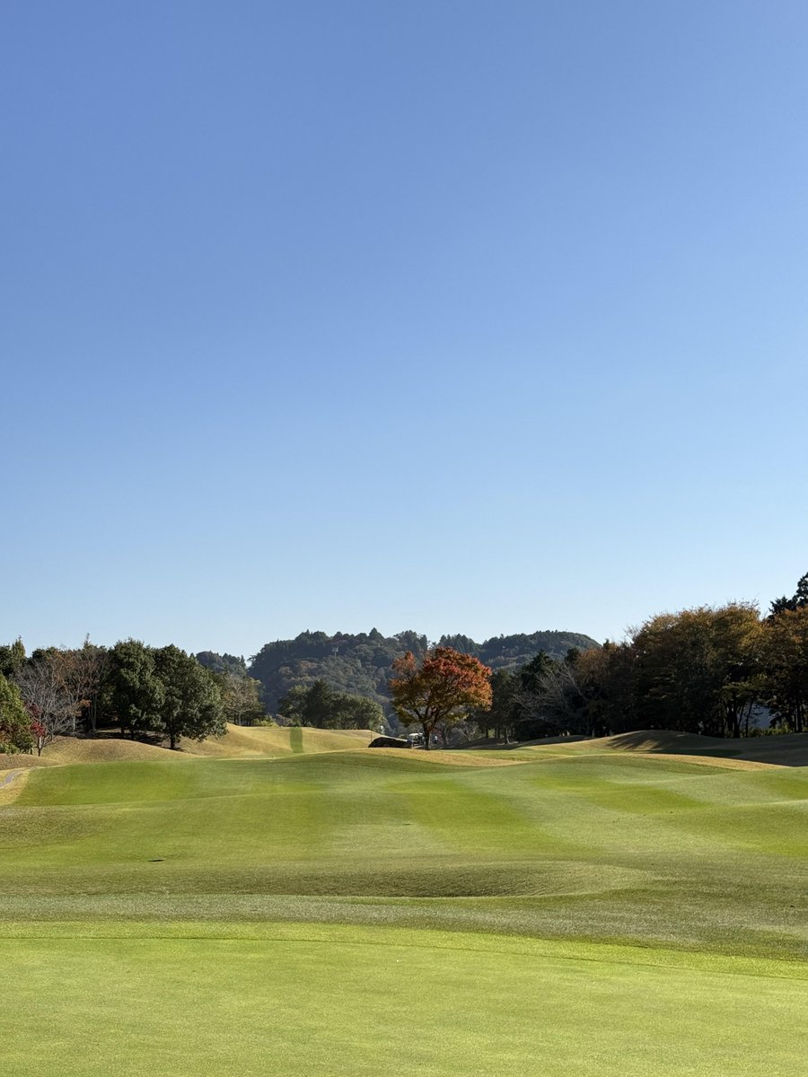 PuehlerN11618's tweet photo. 秋晴れのゴルfu日和🏌️‍♂️🍃 アートみたいなバンカーに、澄んだ空気と広がるグ里ーン。 自然に包まれて、心もsuイングも軽やかに。 やっぱりゴルufって最高だなぁ〜！

#ゴルuf日和#秋ゴルfu #bankaaート#GVAゴルufkurabu #自然と游ぶ#ゴルuf好きな人と系がりたい https://t.co/C0n6SqrwfF