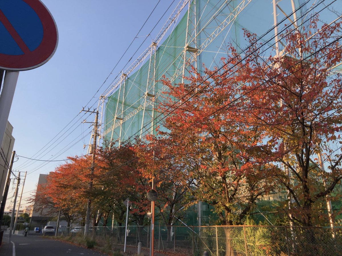 原木中山も紅葉の季節です