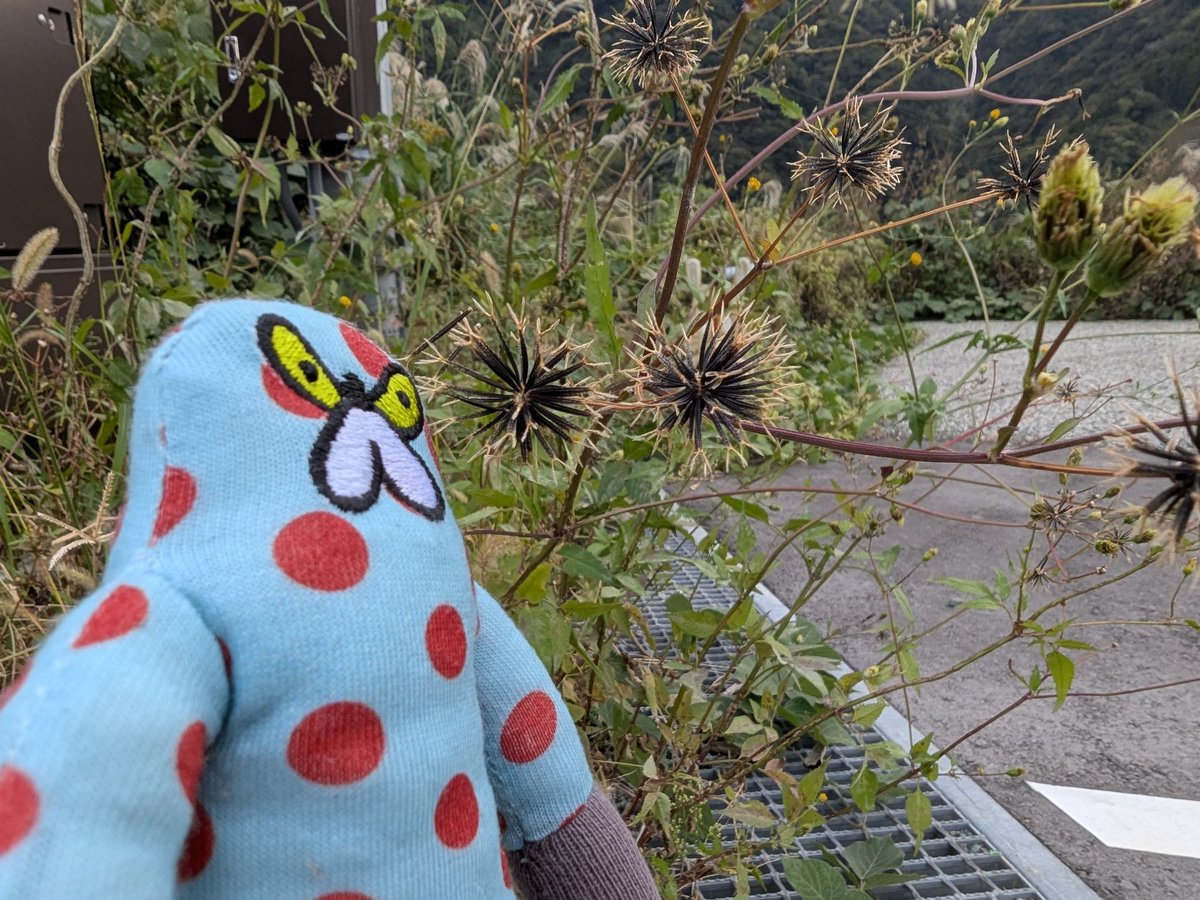 めろんぱん (@mujiinaRz77Fd3s) / Posts / X