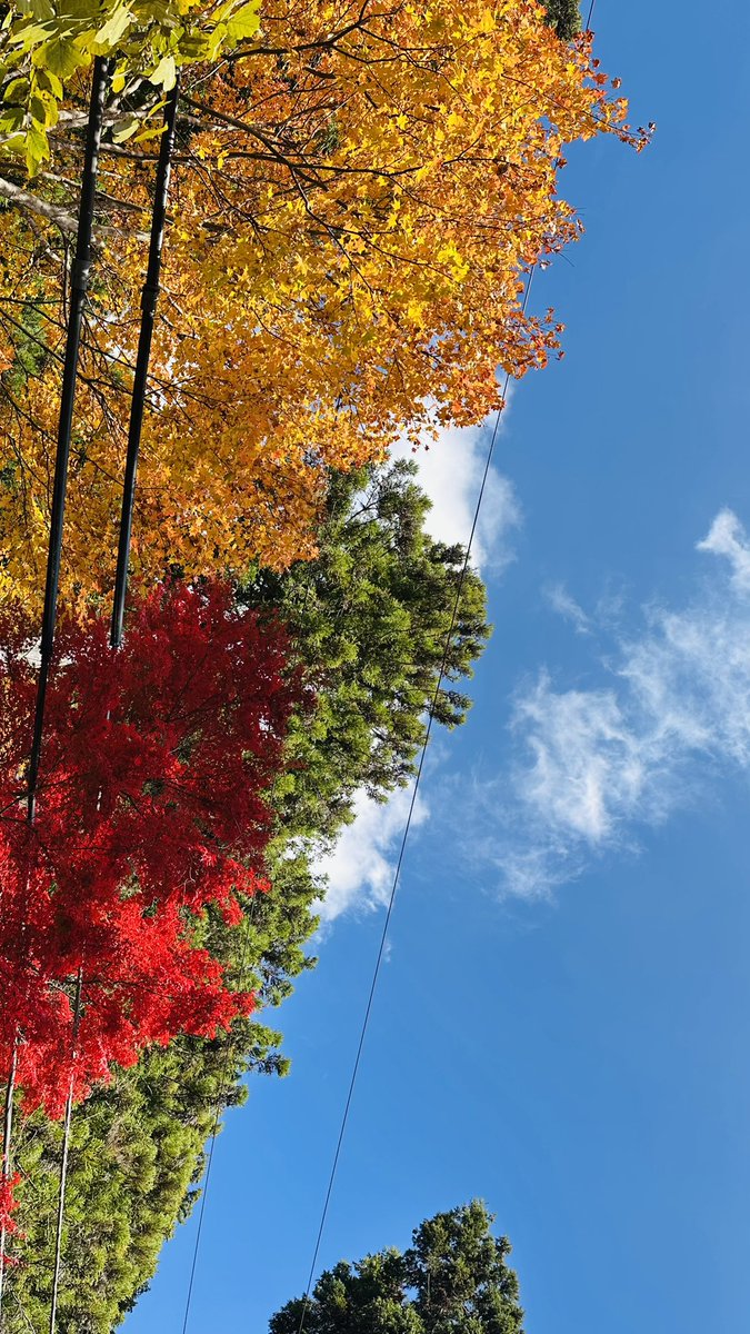 temp_c's tweet image. 昨日は一日お出掛けしてました。