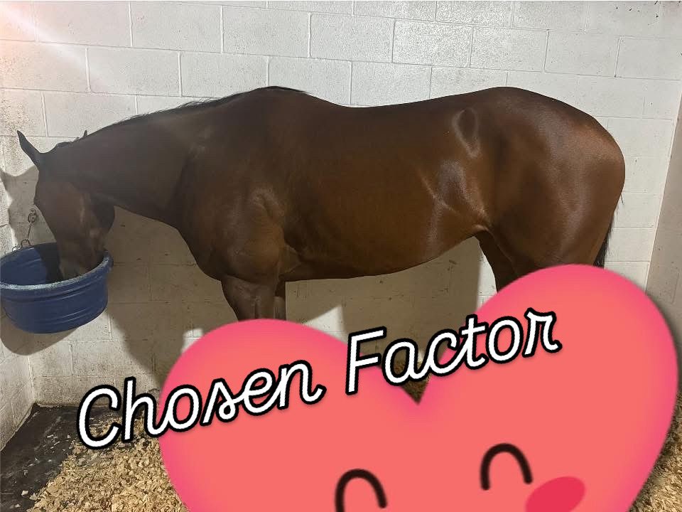 Laura Cazares tweet media