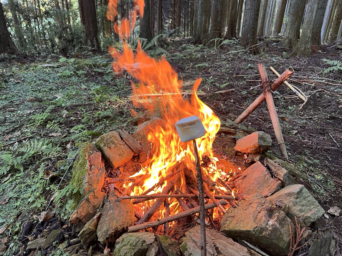 パブリックで立ててるけど今日は誰も来ないな