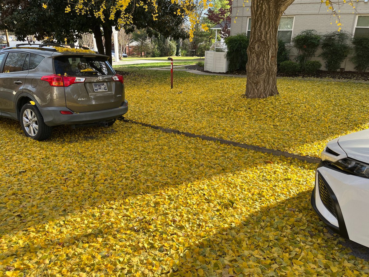 visabul's tweet image. 계절은 음악 선곡에 적잖은 영향을 준다