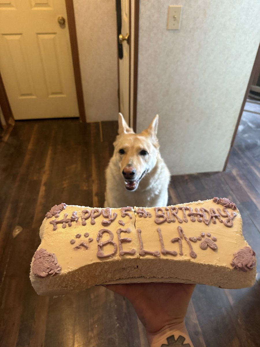 RHCP_Fan99's tweet image. Baby girl turned 5 Thursday ! I am so in love with her. ❤️❤️❤️