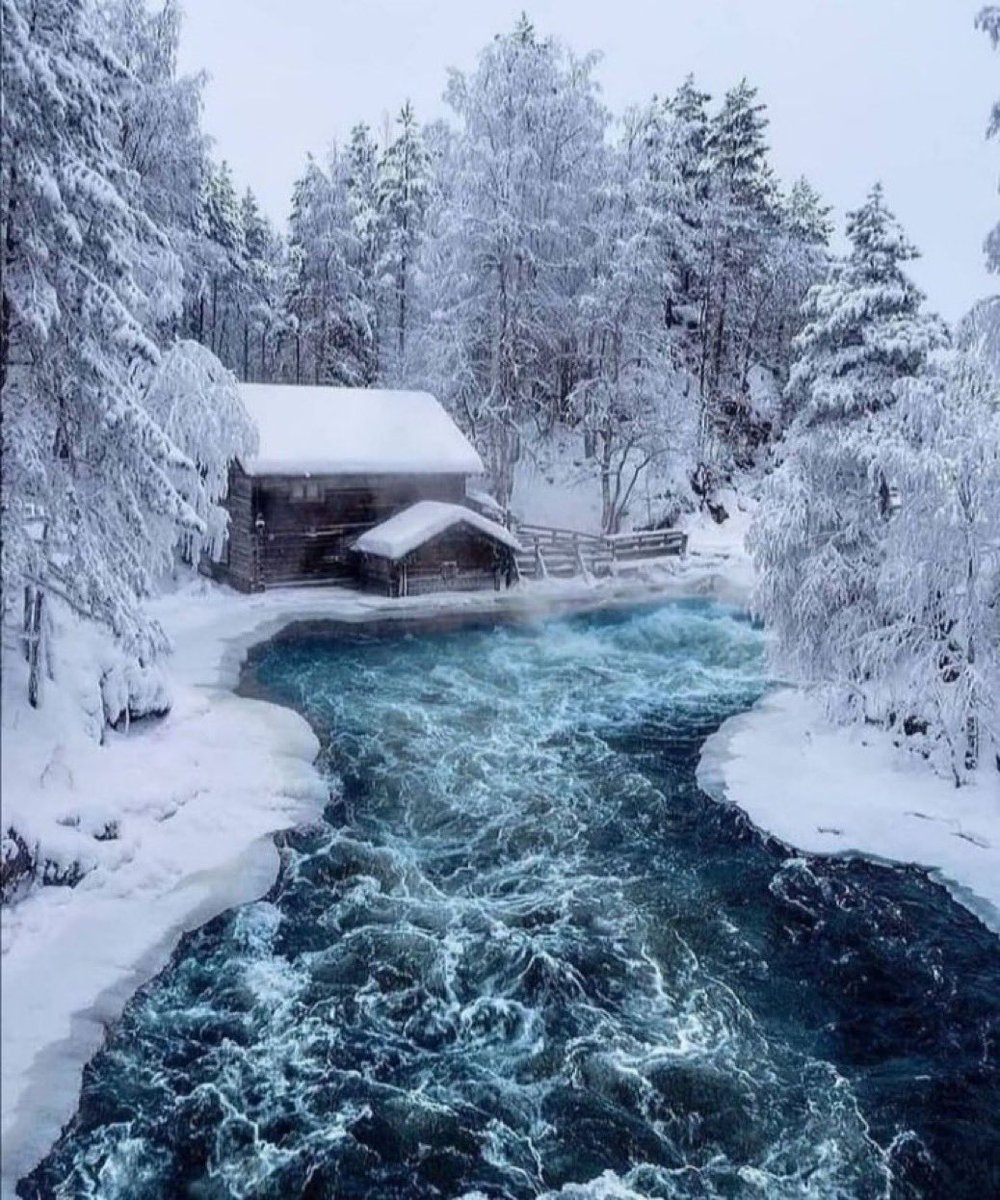 تغريدة عابرة :

قيل :

لابد من رحيل من نحب …
حتى نتعلم الاشتياق …

 الشوق غريزة وجدانية تثقل عندما تتراكم  ….