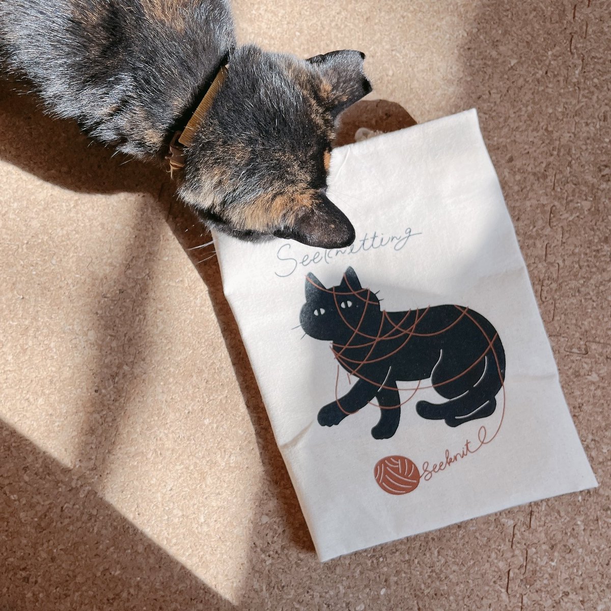 ＊むむすけ＊ページです♡ むむすけ (@7_27_AYUMU) / Posts / X