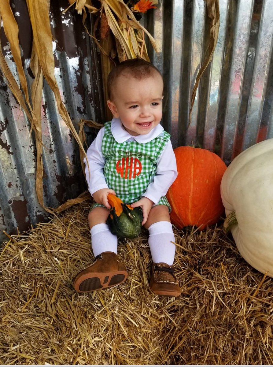 🦩KATIE G🦩 tweet media