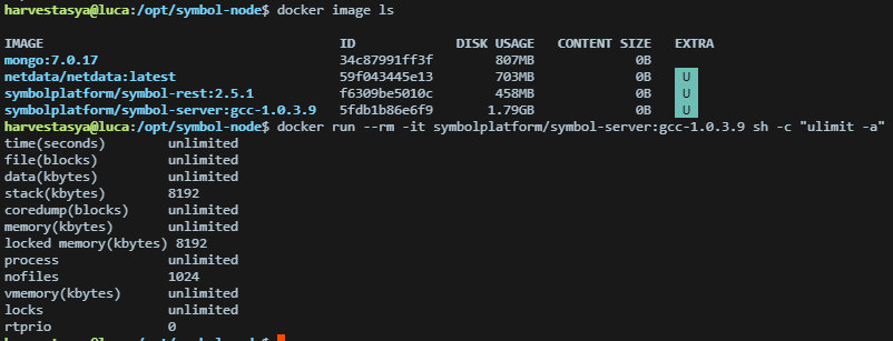 docker29