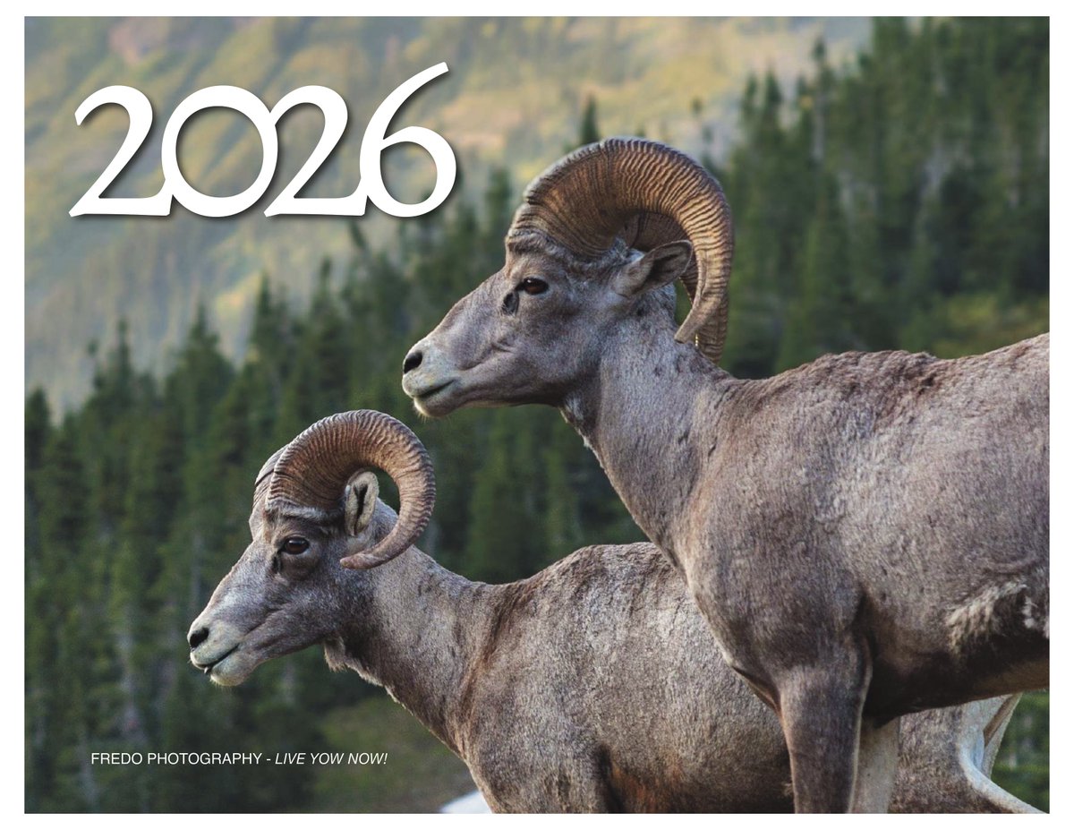 It’s here! 🎉 My 2026 Nature Calendar is now for sale on Etsy: etsy.com/listing/440569… Only 25 available—great holiday gift!
FREE SHIPPING! U.S. delivery only but download option for everyone coming soon! 📸✨