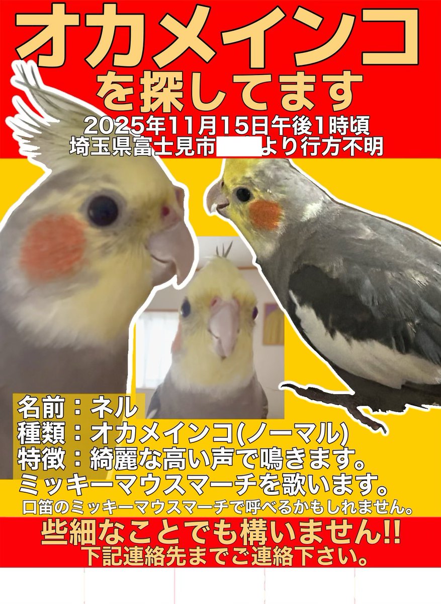 モーちゃん見つかりました！ (@motyan_0302) / Posts / X