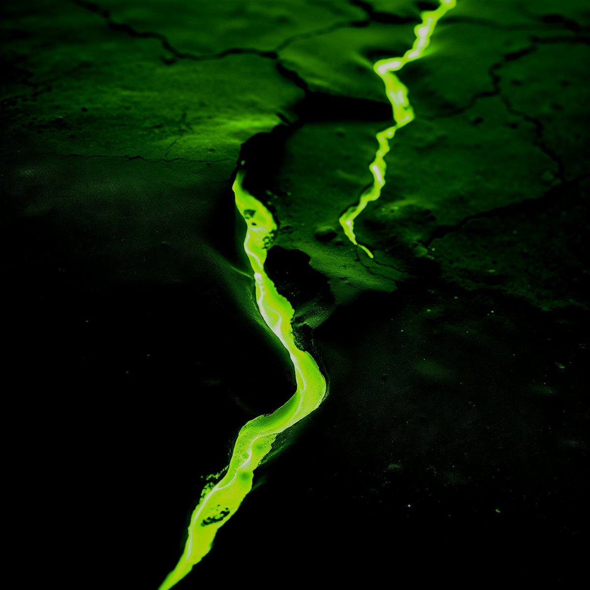 TheAceMaker's tweet image. Enjoy and pick your favorite! 📸🤩
Try yours, link in bio. 🔗

#Photo #Image #Pro #Filter