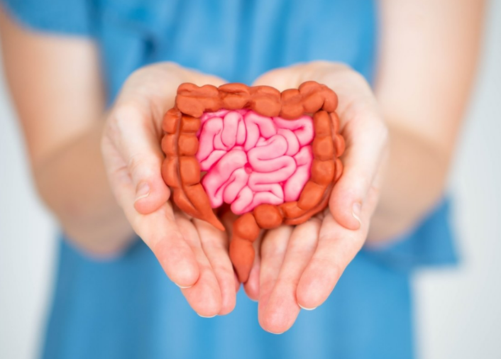 KristenJakobitz's tweet photo. If your skin, energy, and sleep are terrible, check your gut health. Everything from mood to metabolism is linked to your #microbiome. Start with a daily probiotic or fermented foods. #GutHealth #Over40Health #WellnessTips https://t.co/5mgx8xna2i