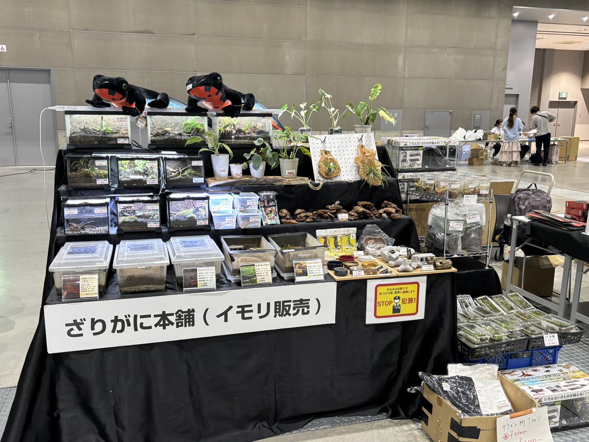 zariganihonpo's tweet image. WAF群馬‼️
無事に設営完了しました。

10時スタートかと思ったら11時スタートだったので時間を持て余してます🤣

キッチンカーの場所が変わったようで昼食難民になりそうです😅

#WAF  #簡易イモリウム　#イモリ