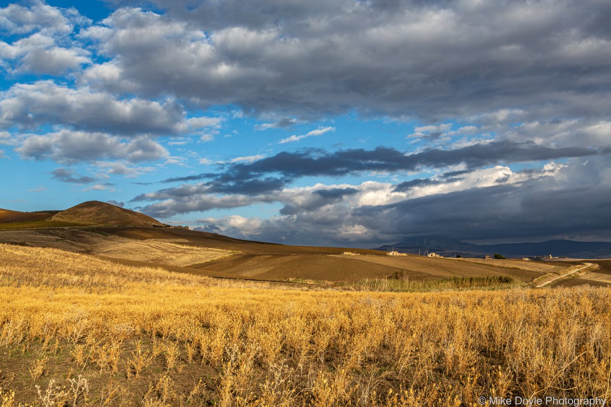 Sicilian landscape, late afternoon.

#Sicily #Sicilia #Italy #Italia #landscape #landscapephotography #photography #travel #travelphotography #photo #photography #photooftheday