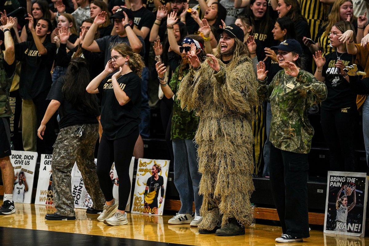 Purdue Volleyball tweet media