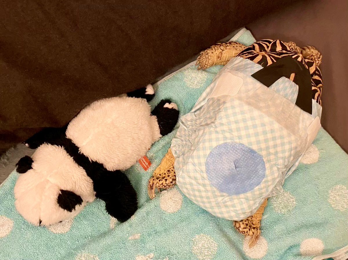 この気持ち、すんごくわかります🥺
うちは亀ですけど🐢✨