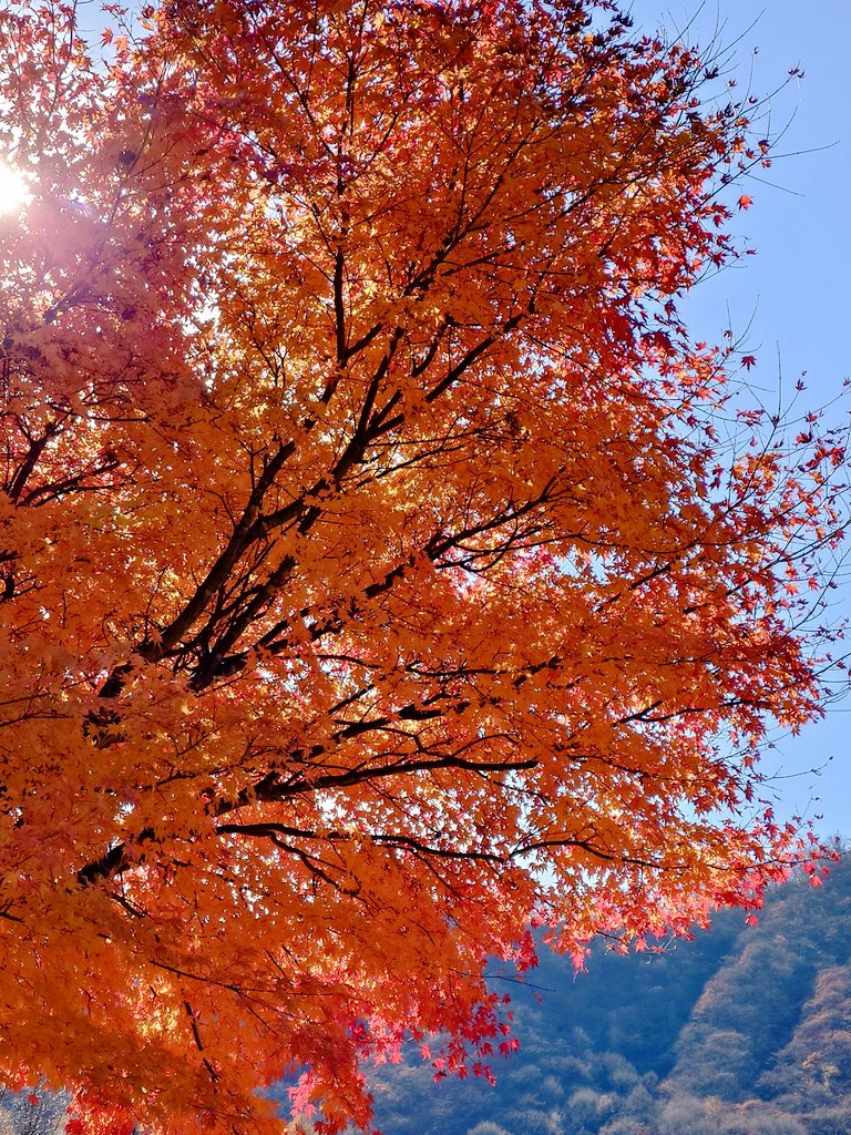 risatn3's tweet photo. 榛名湖に行ってきた。
山の頂上は紅葉終わってるけど、湖畔はぎり楽しめました。
湖畔一周ぐるっと歩いて散策。気持ち良かった。 https://t.co/oqmHqkEnNL