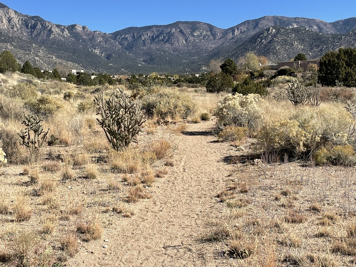 Howtobefit's tweet image. I felt as beat up when I started my run as the shoes someone left on that rock. The view and the crystal clear day kept me going!