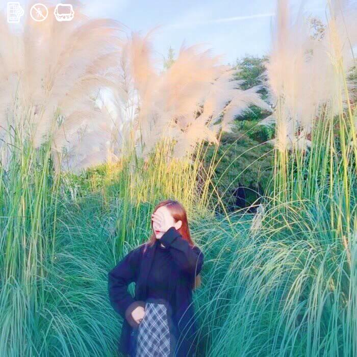 Agency around garden operation all year result.🔌👛👠😷70266