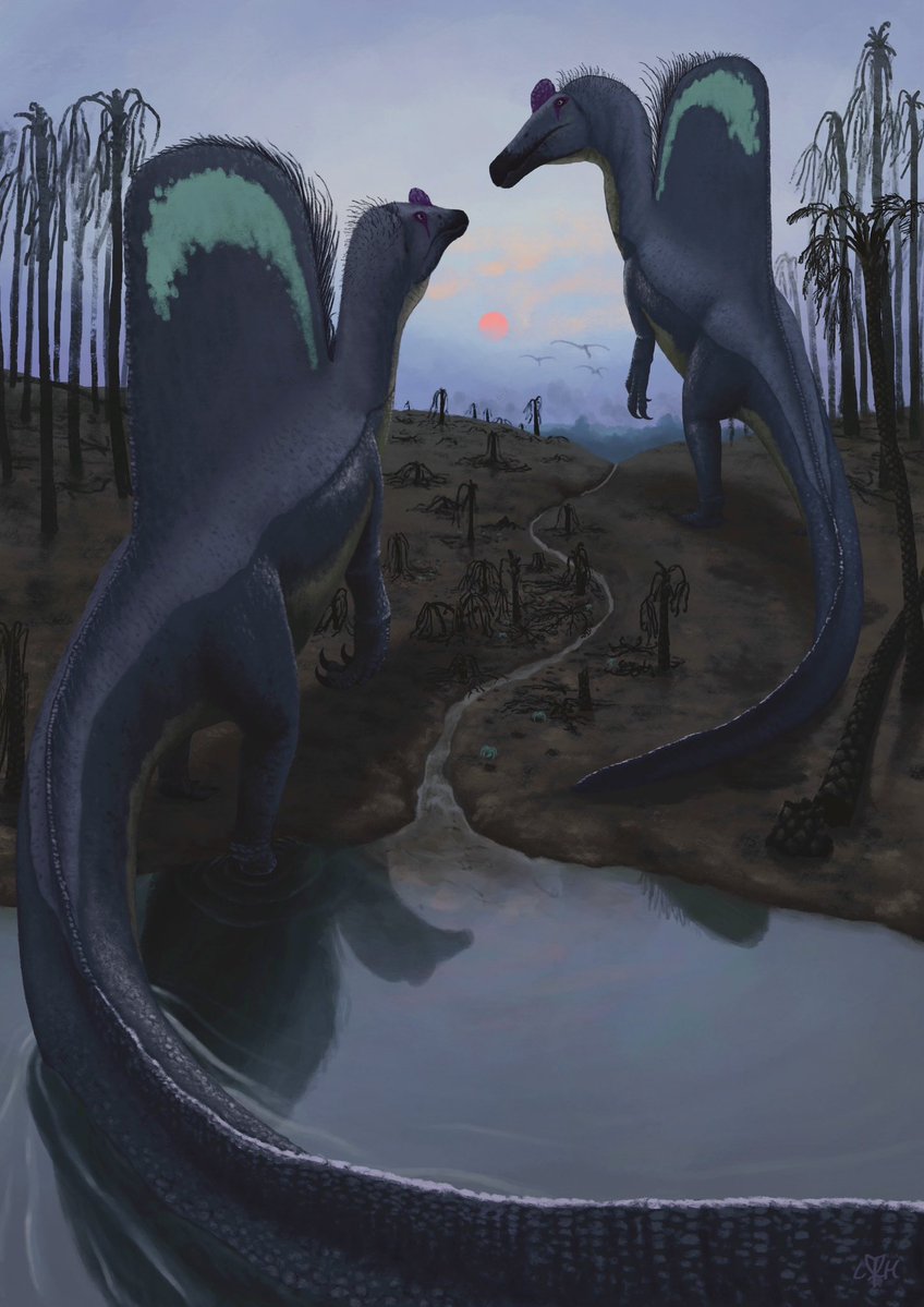 Ember chapel
A pair of male Spinosaurus emerge from the water after a forest fire 
Submitted for the Premio Italiano di Paleoarte (didn't win 🥲)
#gayleoart #paleoart
thread below🧵