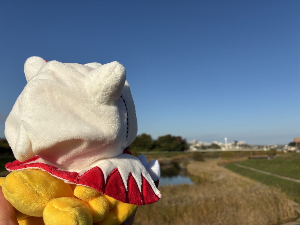 チョコボとお出かけシリーズ】 遊水池公園付近にて✨ #ぬい活