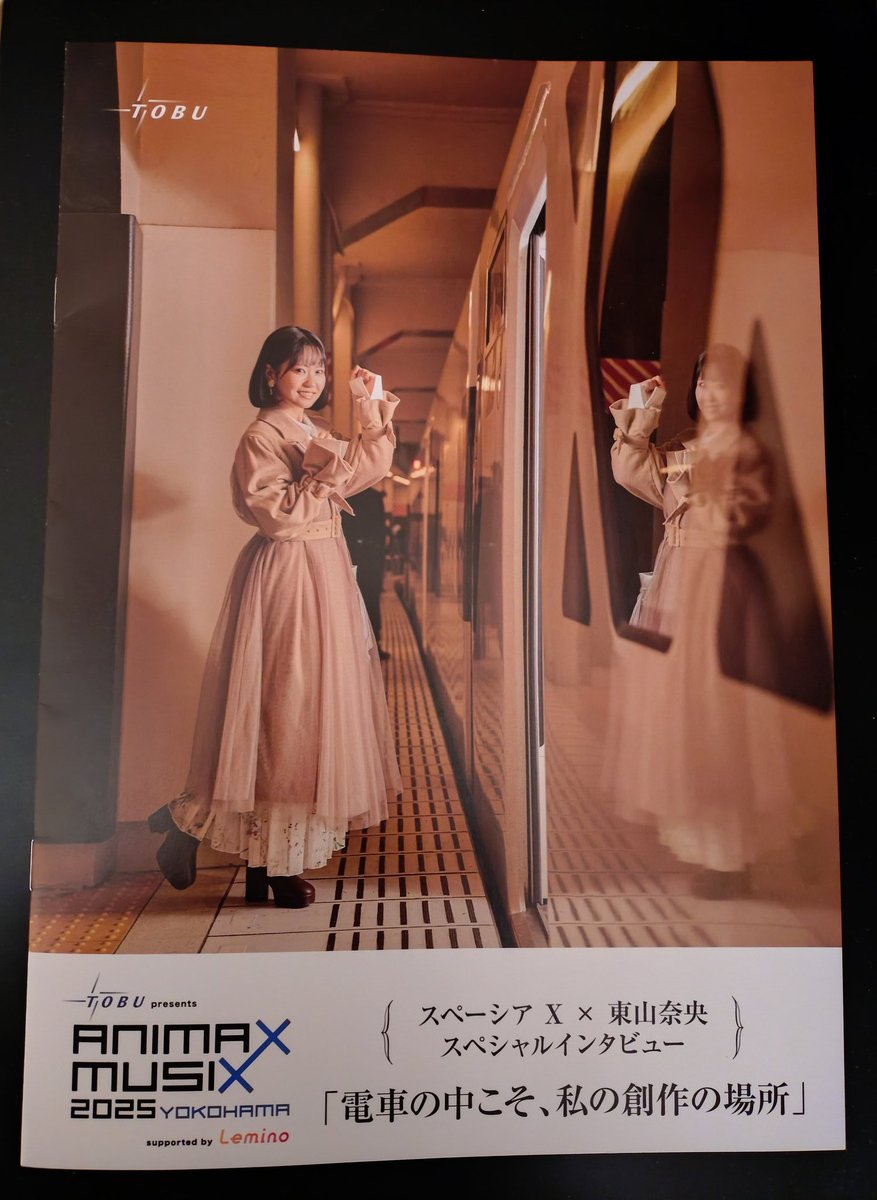 ANIMAX MUSIX 2018 YOKOHAMA パンフレット 新品未開封 113690-744