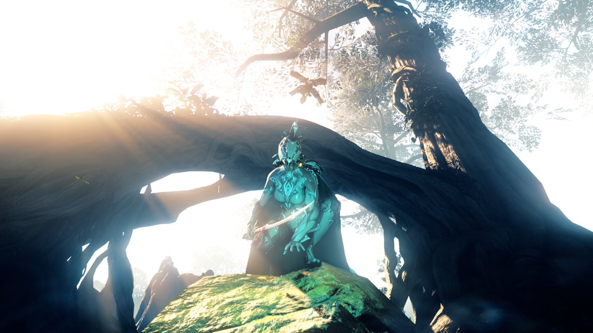 NoQuest tweet media
