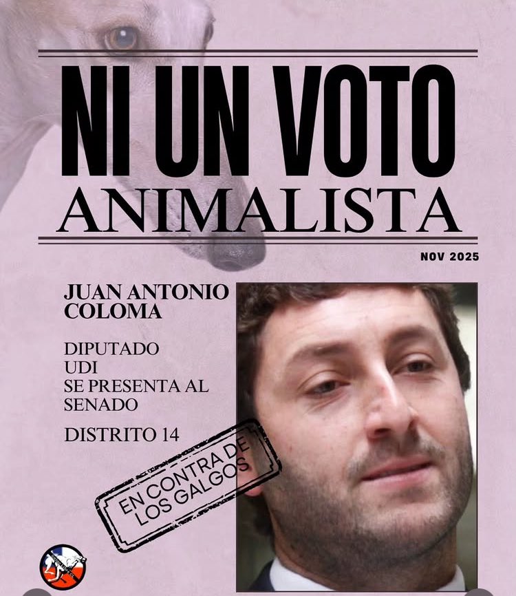 RT ..😤😤😤😤 fuera el nepotismo de los Coloma!  Protagonistas de las carreras de galgos !!! RT pasa el mensaje! Va por el distrito 14 😒😒😒😒