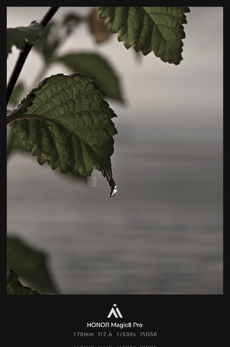 Frankforphones's tweet image. Honor magic 8 Pro 170mm macro

#HonorMagic8Pro
#streetphotography #shotonsnapdragon #HonorMagic8series