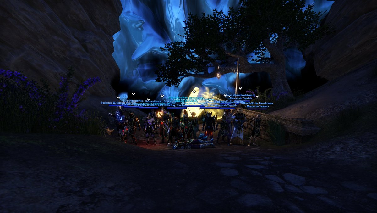 VectorRar's tweet image. K-chau! Foto de los Mancos de Tamriel después de terminar la fase 3 del Muro Convulso! &amp;gt;:3