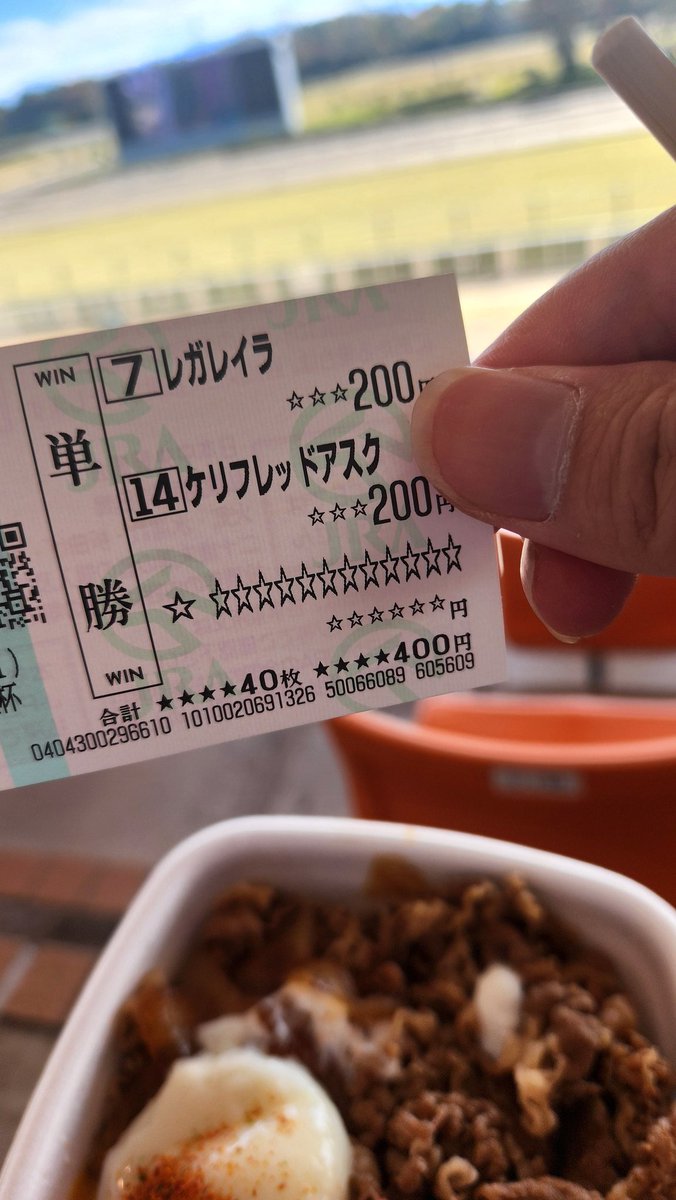 やっちゃんページ せっかくなので買ってみた