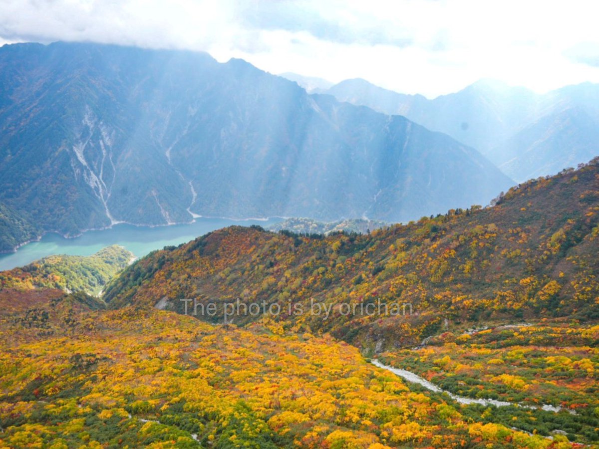 orichan325's tweet image. 標高2316mからの絶景🍁
目に焼き付けました

ロープーウェイで大観峰へ
黒部湖を見おろせます

7月に訪れた時とは また違った
とっても素晴らしい景色でした

前日まで雨
この日 迷ったけど…
行って良かった‼️
お天気に恵まれました☀

📸2025.10.12

#紅葉
#立山黒部アルペンルート
#大観峰
#絶景