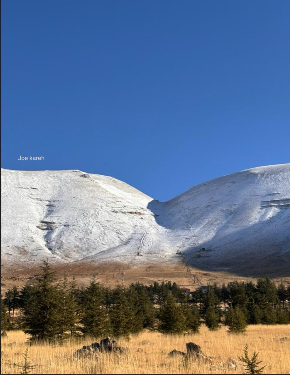 مباشر من الارز 😍
لبنان الحلو ❤️
بعدسة صديقي جان ساسين