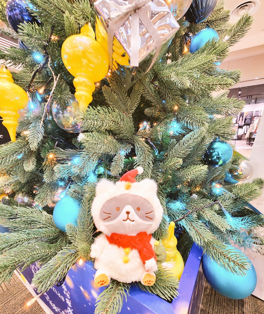 うさぎのしっぽv～ハッチ推しの、ふくにゃんず♥️～ (@pyon2tan