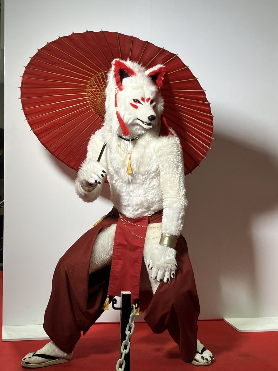 麿⚝⋆ ⛩️𝘔𝘈𝘙𝘖-麿⛩️ (@furry7mikoto) / Posts / X