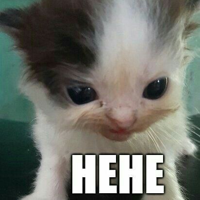 Sengaja gweh kirim mf ga pake foto muse ,biar jdi cwk misterius