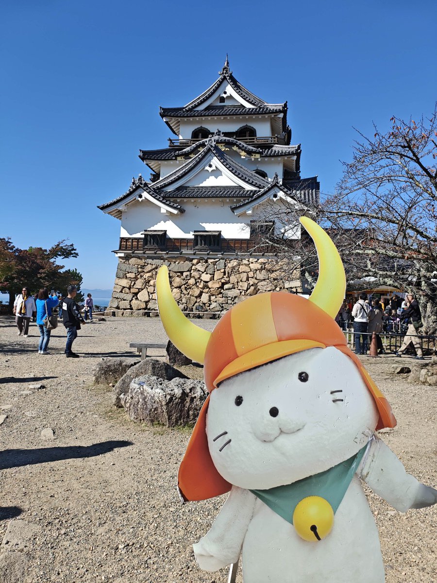 彦根城 彦にゃんが立体的！？だけどAIじゃないよ。